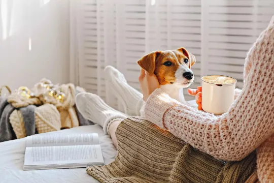 Person sitting on a couch with a dog and paperwork in their lap.