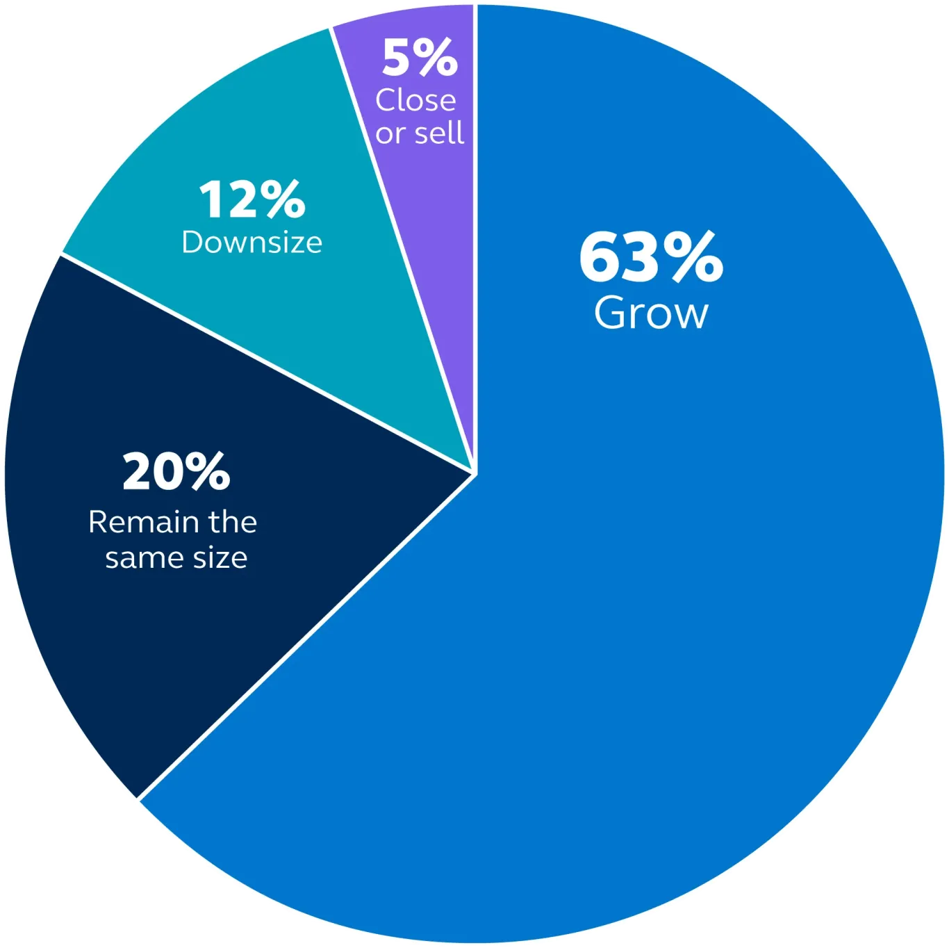63% of businesses expect to grow, 20% expect to remain the same, 12% expect to downsize, 5% expect to close or sell