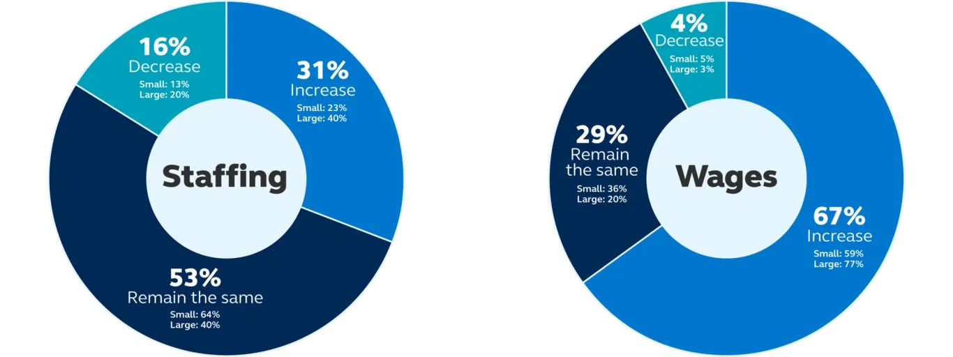 Chart showing that 31% of businesses expect to increase staffing because of AI, 53% expect no change, and 16% expect to decrease