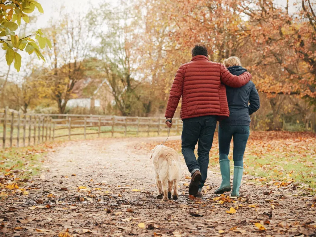 A couple taking their dog for a walk outside.