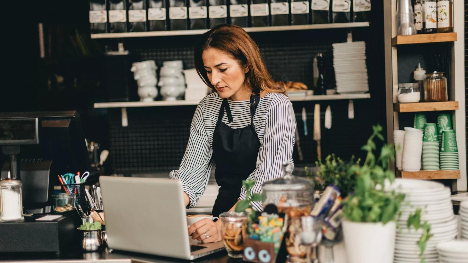 Cafe manager working at computer