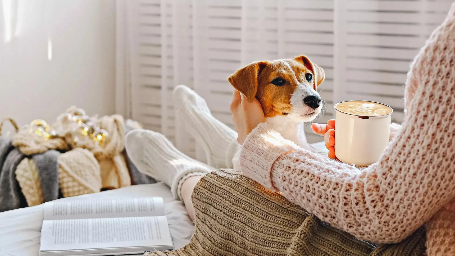Person sitting on a couch with a dog and paperwork in their lap.