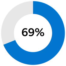 Pie chart conveying 69%