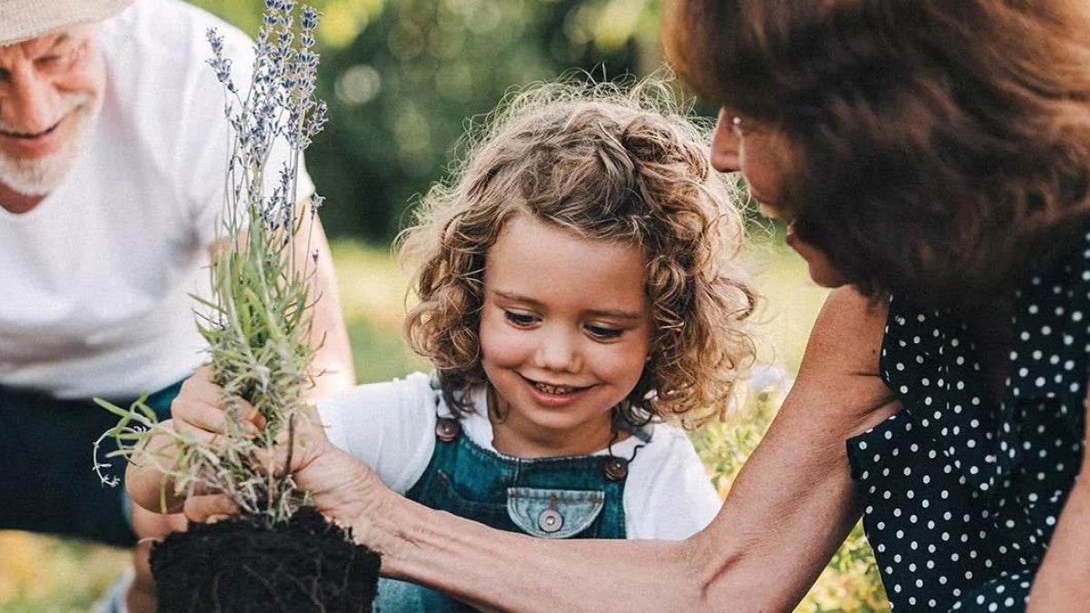 Photo of two grandparents gardening with a young child.
