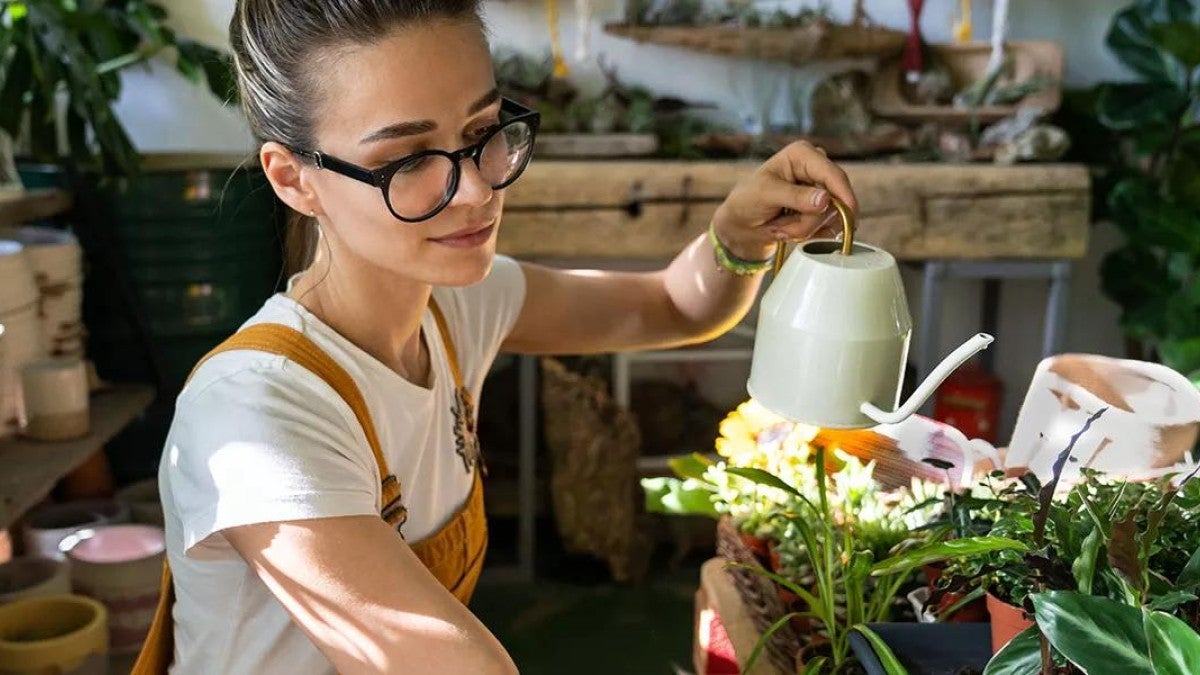 Photo of woman watering plants in a greenhouse depict someone beginning to invest money.