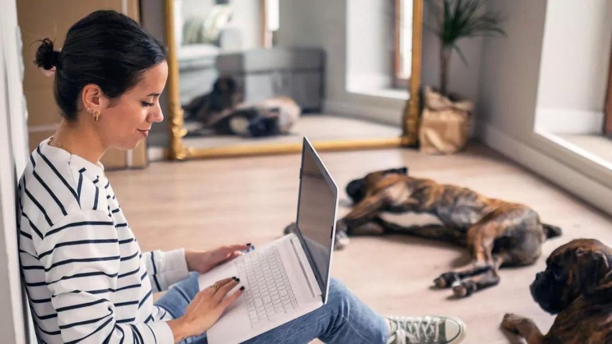 A woman on her laptop in a room with her two dogs doing research on a Roth IRA.