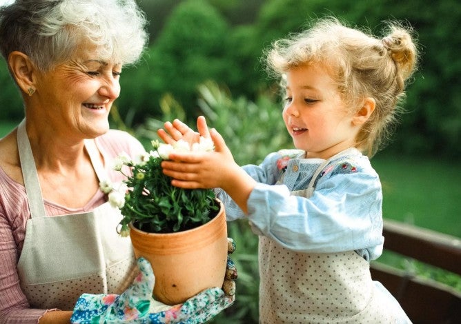 Senior grandmother with young granddaughter gardening on a balcony in the summer.