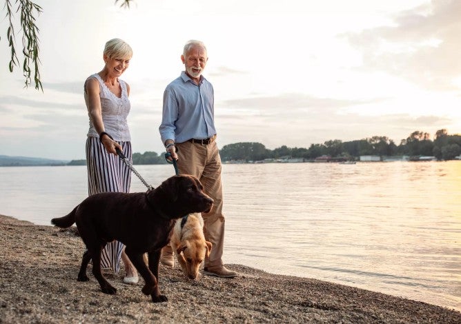 Older man and woman walking two dogs on a beach at sunset