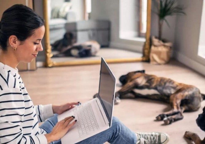 A woman on her laptop in a room with her two dogs doing research on a Roth IRA.