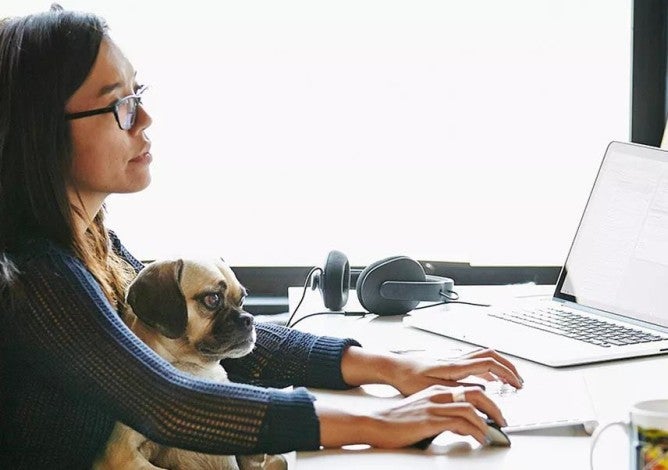 A woman prioritizing the benefits she offers to her employees. A puppy sits in her lap.