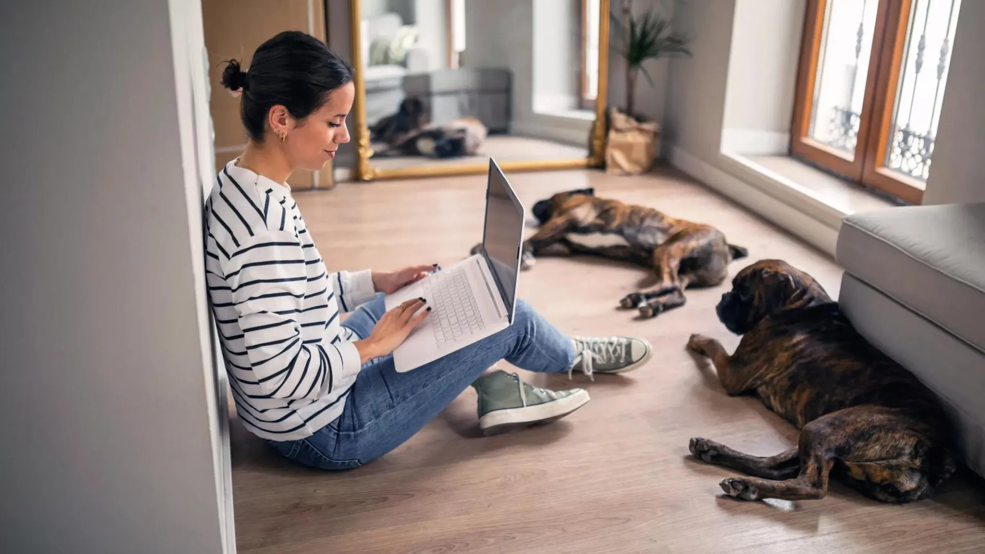 cuanto dinero debo ahorrar para un perro