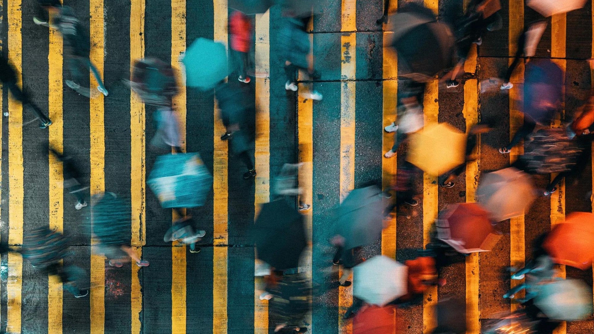 Overhead view of people with umbrellas navigating a city crosswalk